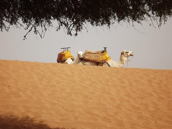 Massa 4×4 & Small Dunes With Lunch Day Trip From Agadir