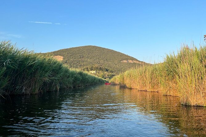 Massaciuccoli Lake: Kayak Tour With Aperitif - What to Expect
