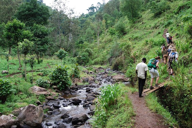 Materuni Village Tour, Waterfalls, Coffee & Culture Excursions - Meeting and End Points