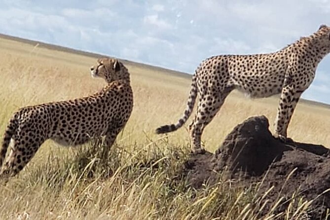 Materuni Waterfall, Coffee Tour and Chemka Hotsprings - Pricing and Inclusions