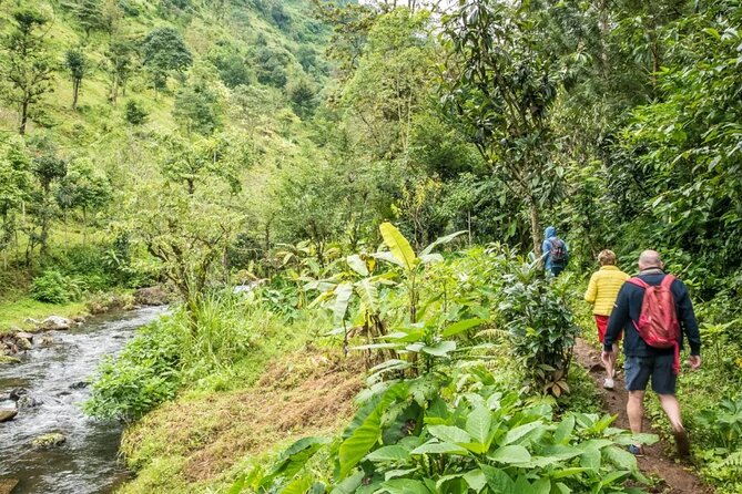 Materuni Waterfall Hike & Coffee Tour - Inclusions