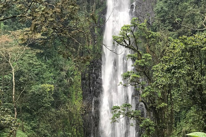Materuni Waterfalls and Coffee Day Tour - Tour Details