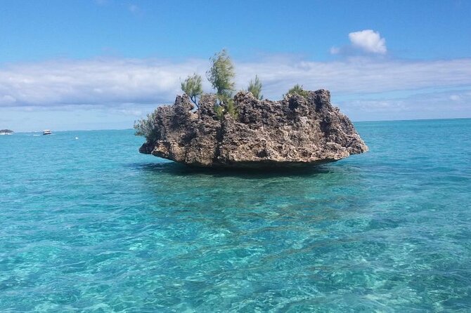 Mauritius : Dolphins Swim and Ile Aux Bénitiers With BBQ - Logistics and Meeting Point