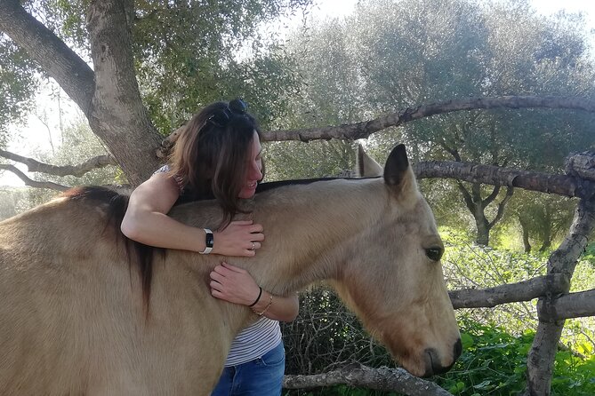 Meditation Activity: Mindfulness With Horses in Zahora - Location Details