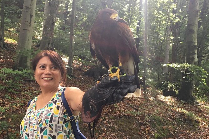 Medvednica Nature Park Falconry Tour From Zagreb - What To Expect