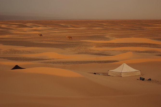 Méhari Trip in the Desert From M’hamid