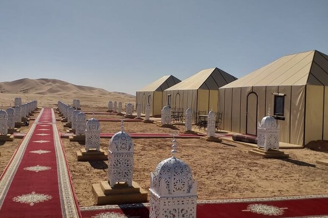 Best Safari Tours In Merzouga