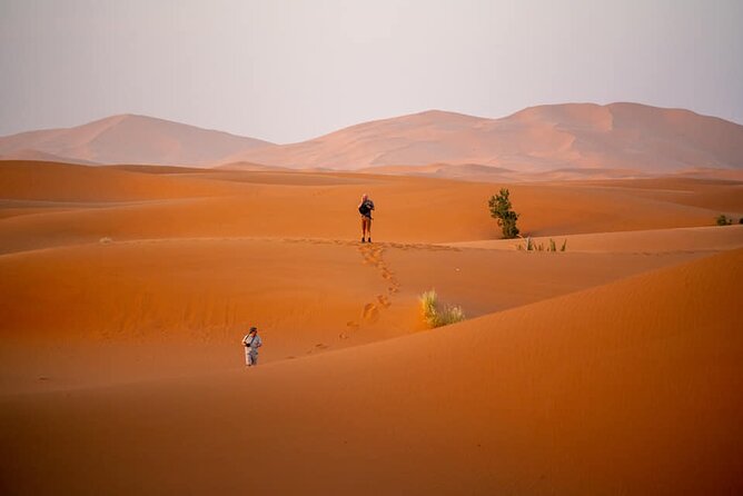 Merzouga Sahara Desert 2 Days Trip From Ouarzazate. - Included Services