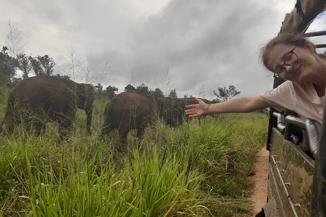Minneriya National Park Elephant Jeep Safari Private Tour