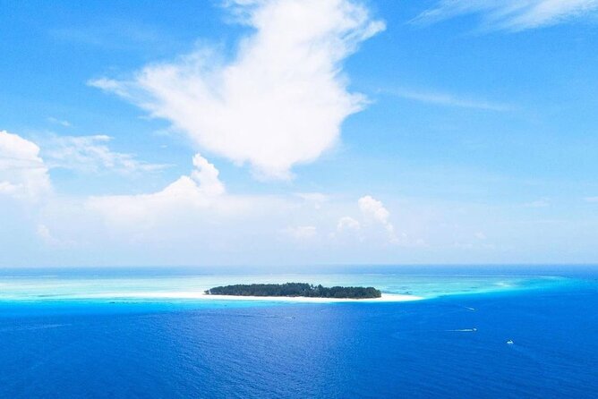 Mnemba Island, Clear Kayak, Cooking Class, Horse Riding, Emerson - Exploring Mnemba Island