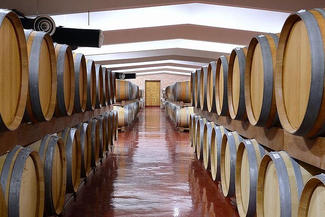Montenegro Wine Tasting (Private Tour) - Tour Highlights
