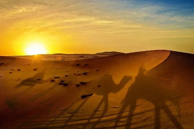Morning Dune Drive With Sandboarding and Camel Ride