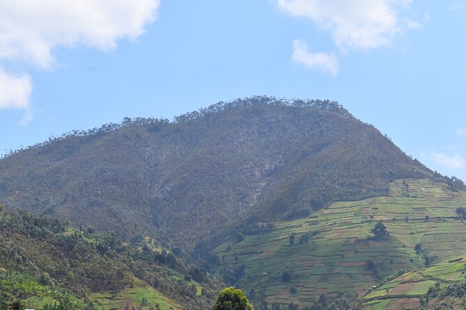 Mount Kabuye Hiking