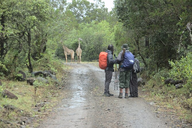 Mount Meru 4 Days Hike - Itinerary Details