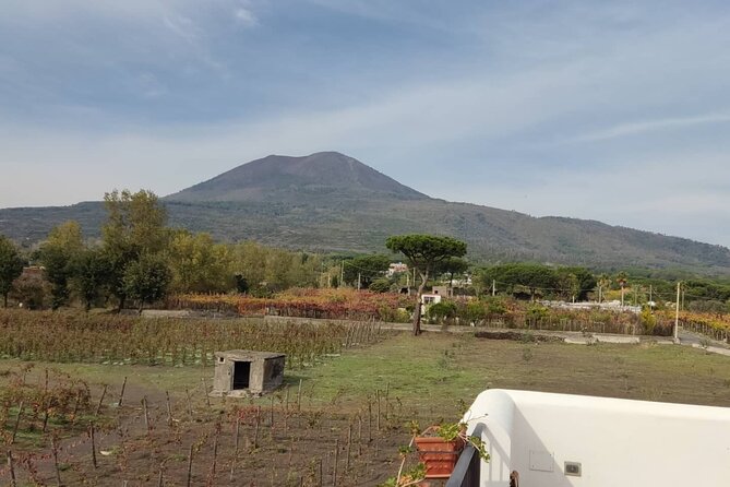 Mount Vesuvius Half Day Private Tour - Cancellation Policy