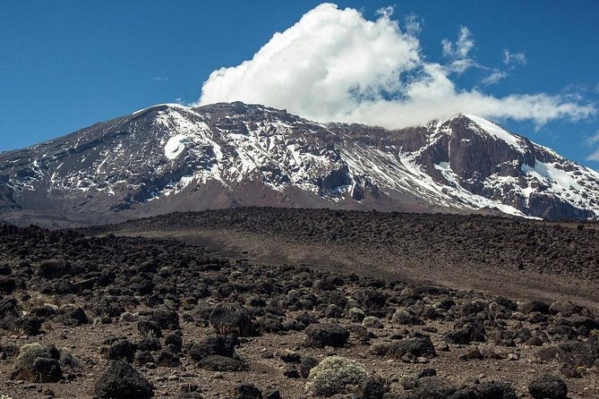 Mt Kilimanjaro Climbing; 6 Days Machame Route - Inclusions and Exclusions