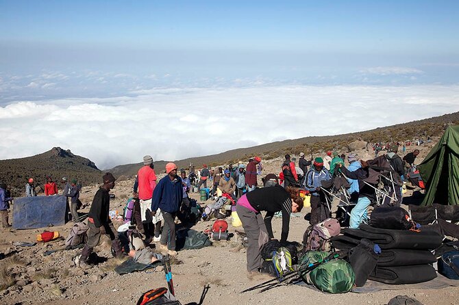 Mt. Kilimanjaro Trekking Adventure - Pickup Details
