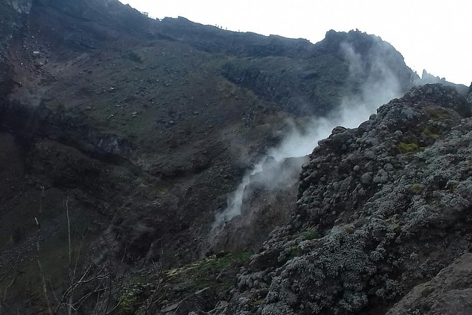 Mt. Vesuvius and the Amalfi Coast(Sorrento-Positano) - Tour Highlights