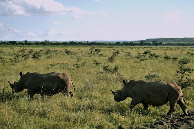Murchison Falls and Queen Elizabeth National Park 5-Day Tour - Tour Exclusions