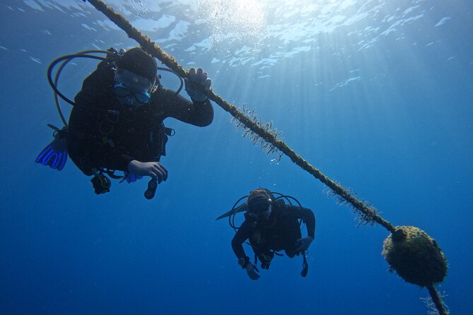 MUSAN Underwater Museum Dive - Meeting and Pickup Details