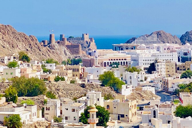 Muscat City Tour With Omani Guide (Private).