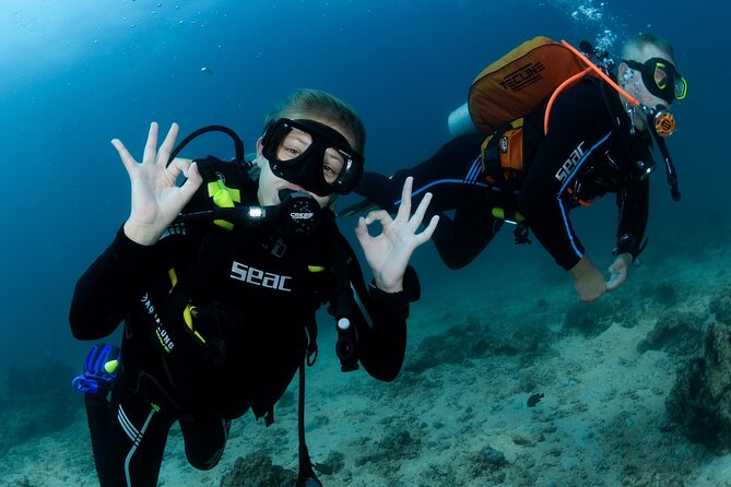 Muscat Diving Experience to Daymaniyat Islands