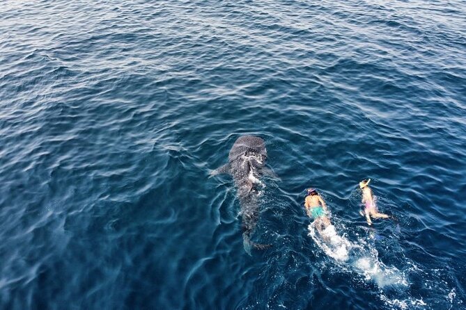 Muscat Snorkeling Trip to Daymaniyat Islands