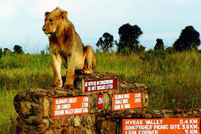Nairobi National Park Half Day Excursion Using Tour Van - Tour Overview