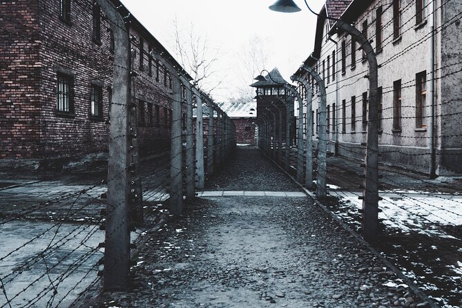National Museum Auschwitz & Birkenau 1-4 People