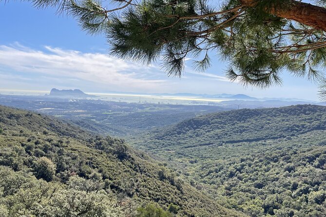 Natural Reserve on Electric Mountain Bike With Guide - Activity Details