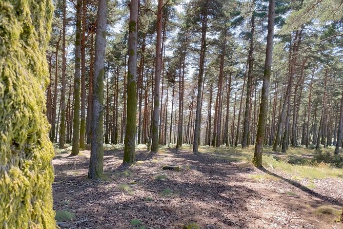 Natures Oasis: Waterfall Swim & Picnic at Fisgas De Ermelo - Overview and Inclusions