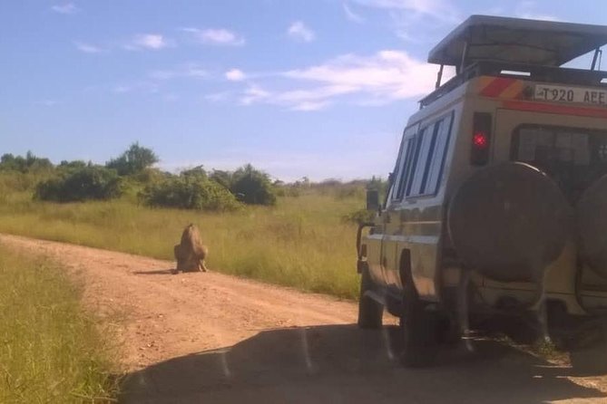 Ngorongoro and Serengeti National Park (3days - Itinerary Highlights