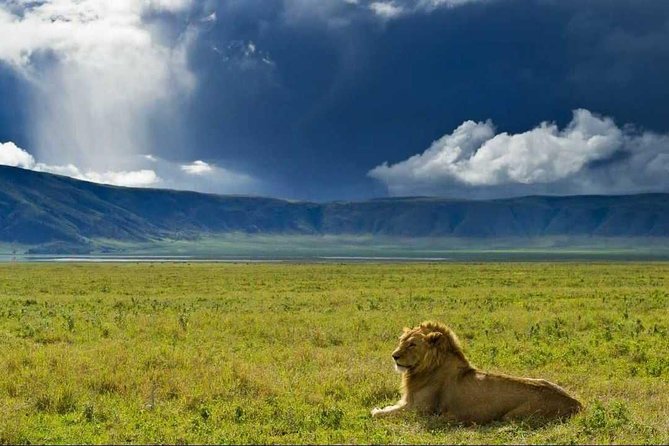 Ngorongoro Crater Day Trip - Experience the Ngorongoro Crater Wildlife