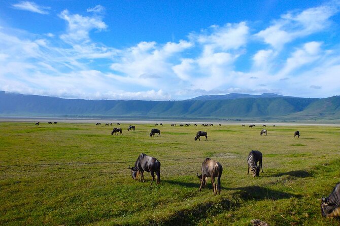 Ngorongoro Crater Day Trip - Ngorongoro Crater Overview