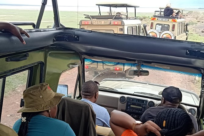 Ngorongoro National Park and Game Drive: Guided Day Tour From Arusha