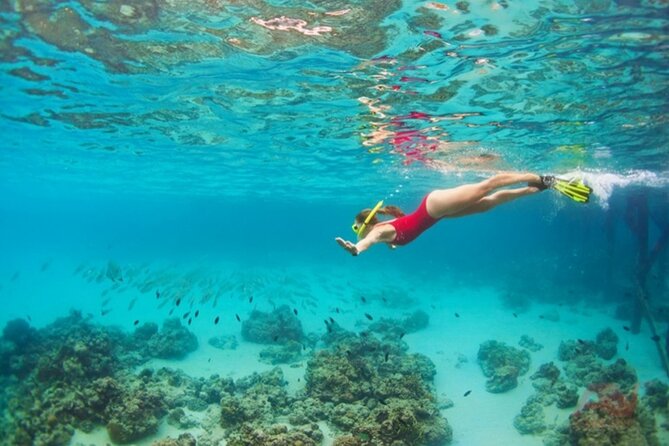 Nha Trang Bay: Explore Half-day Snorkeling at Mun Island