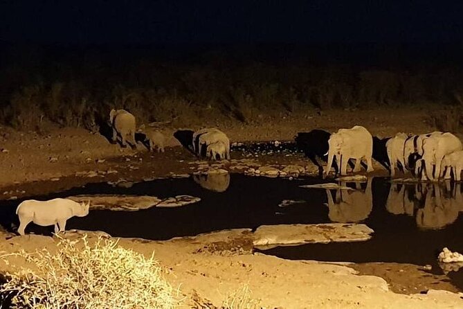 Night Rhino Game Drive and Bush Dinner From Victoria Falls - Event Overview