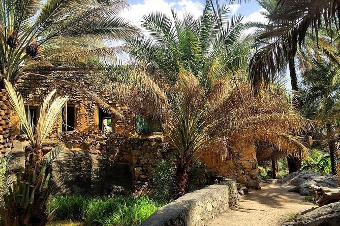 Nizwa Al Hamra & Misfah - Tour Highlights