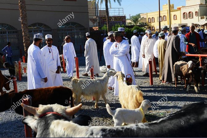 Nizwa Friday Market Jabal Chams
