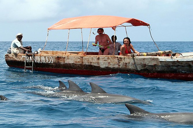 Ocean Safari Tour - Tour Details