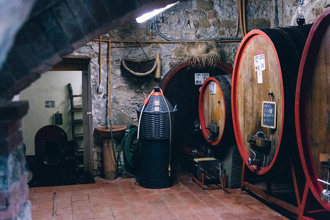 Off Road Wine Tour in Chianti From Siena