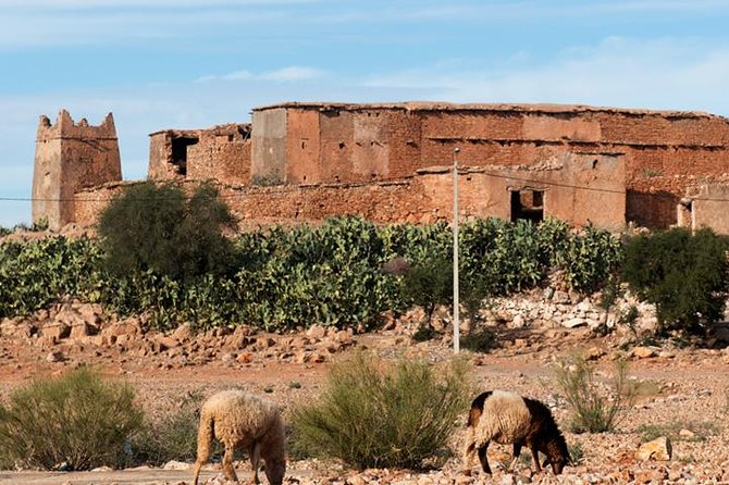 Offshore Amazigh Fortified Granaries