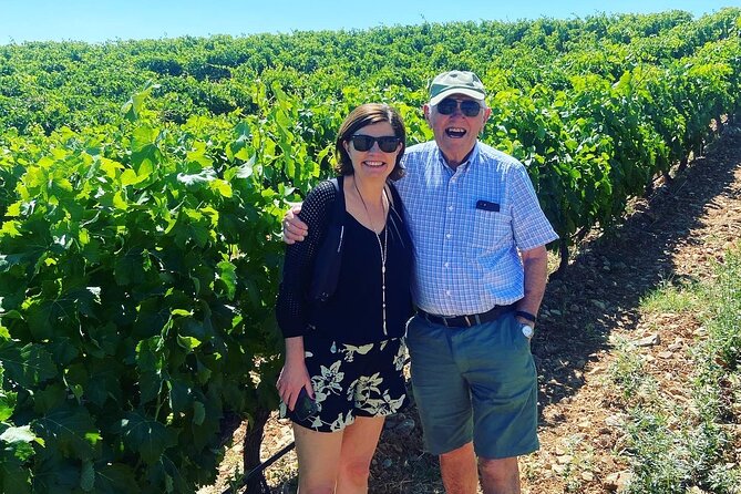 Olive Oil and Winery Tour From Zaragoza City - Itinerary Highlights