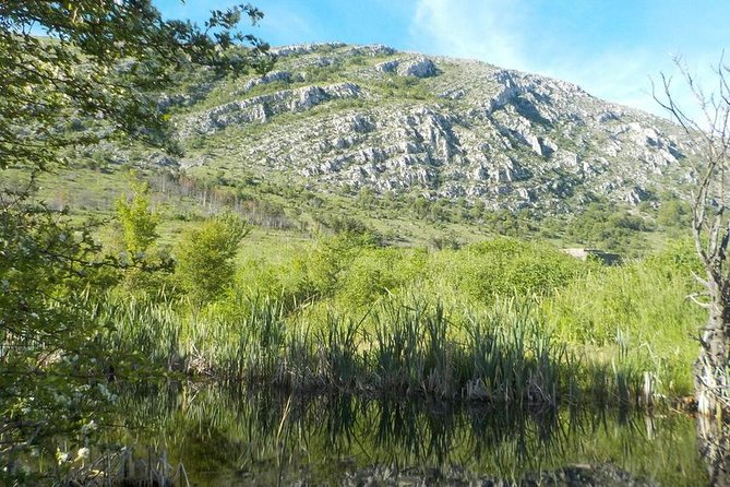One-day Birding Around Sofia - Bird Species to Look Out For