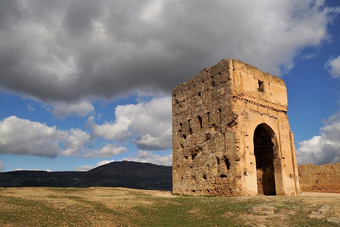 One Day in the Historic Part of Fez City Start From Your Accommodation - Discovering Fez Cultural Heritage