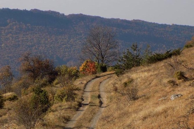 One Day Trip From Sofia: a Walking Over the Jurassic Sea