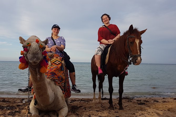 One Hour Camel Ride at Amazing Marsa Alam Desert With Transfer – Marsa Alam
