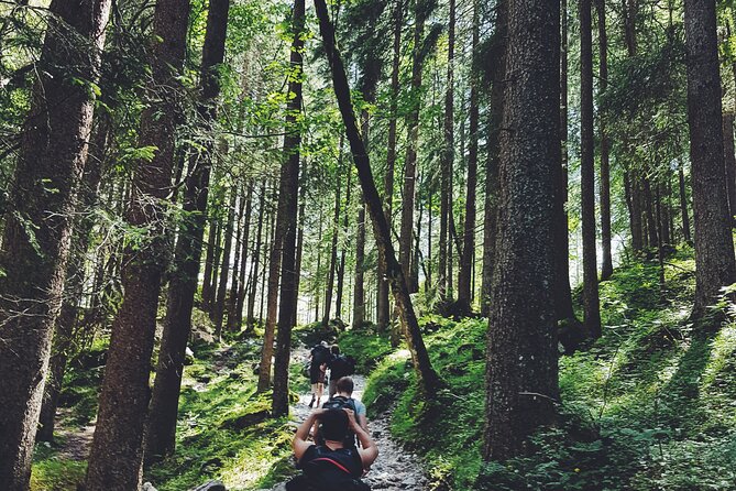 One Private Night Stay in a Tree House With Hike and Bushwalking - What To Expect