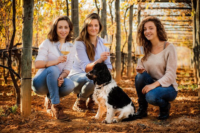 Organic Family Winery Experience in Liguria
