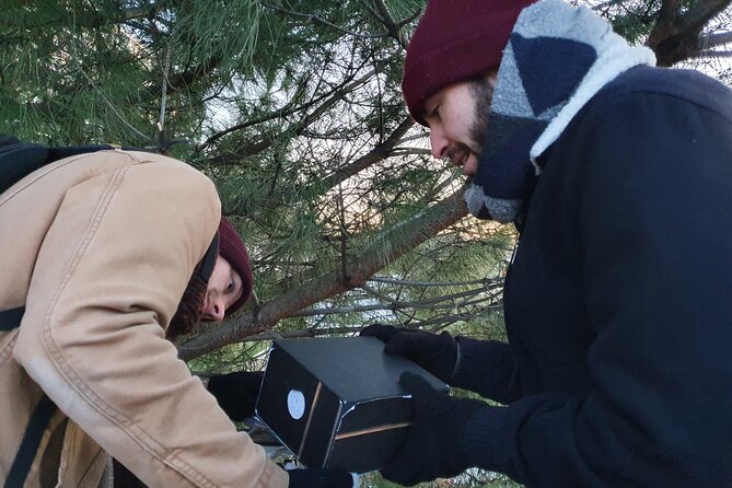 Outdoor Escape Game With a Game Master in the Swamp - Experience Details